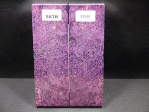 Stabilized Double Dyed Box Elder Scales SW5878
