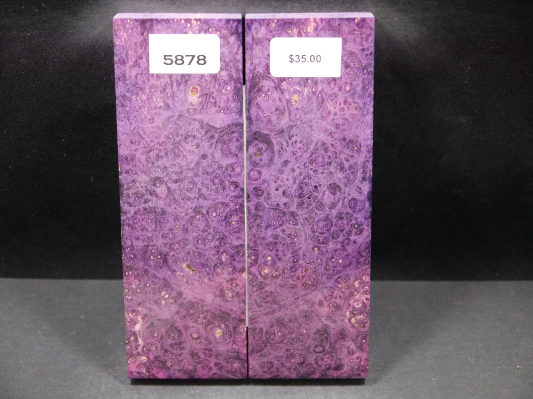 Stabilized Double Dyed Box Elder Scales SW5878