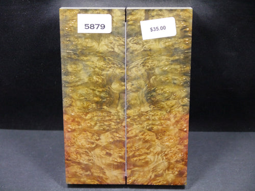 Stabilized Double Dyed Box Elder Scales SW5879