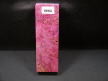 Stabilized Dyed Maple Burl Block SW5882