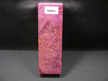 Stabilized Dyed Maple Burl Block SW5883