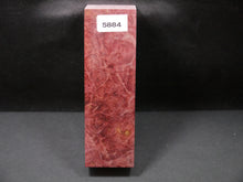 Stabilized Dyed Maple Burl Block SW5884