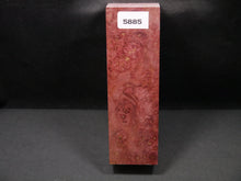 Stabilized Dyed Maple Burl Block SW5885