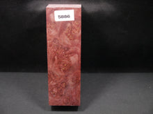 Stabilized Dyed Maple Burl Block SW5886