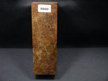 Stabilized Dyed Maple Burl Block SW5920