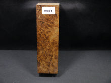 Stabilized Dyed Maple Burl Block SW5921