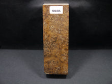 Stabilized Dyed Box Elder Block SW5935