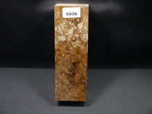 Stabilized Dyed Box Elder Block SW5936