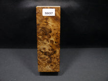 Stabilized Dyed Box Elder Block SW5937