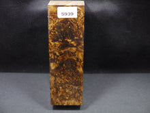 Stabilized Dyed Box Elder Block SW5939