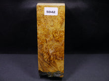 Stabilized Dyed Box Elder Block SW5942