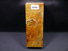 Stabilized Dyed Box Elder Block SW5946
