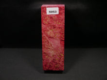 Stabilized Dyed Box Elder Block SW5953