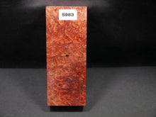 Stabilized Dyed Box Elder Block SW5983