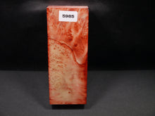 Stabilized Dyed Box Elder Block SW5985