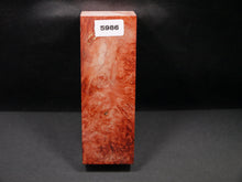 Stabilized Dyed Box Elder Block SW5986