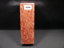Stabilized Dyed Box Elder Block SW5988