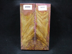 Stabilized Dyed Black Ash Scales SW2886