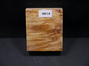 Stabilized Box Elder Block SW3614