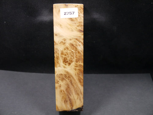 Stabilized Yellow Cedar Burl Block SW2757