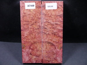 Stabilized Double Dyed Box Elder Scales SW3749