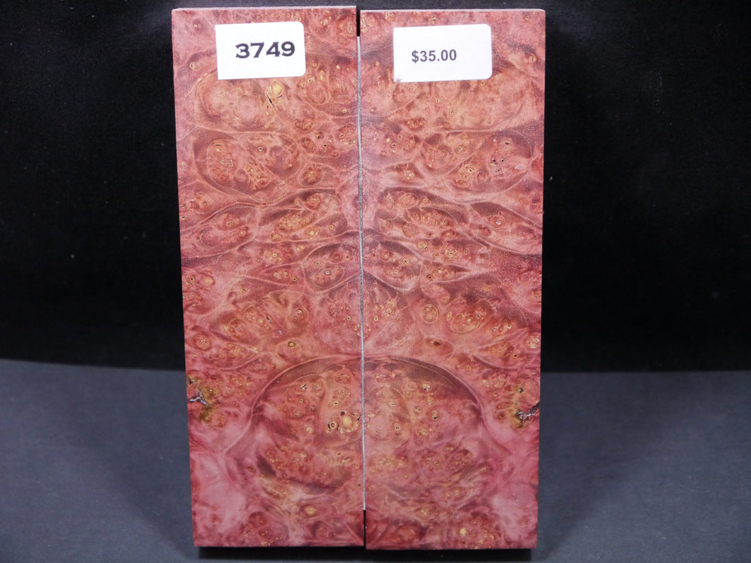 Stabilized Double Dyed Box Elder Scales SW3749
