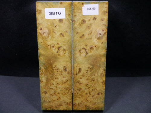 Stabilized Dyed Yellow Cedar Burl Scales SW3816