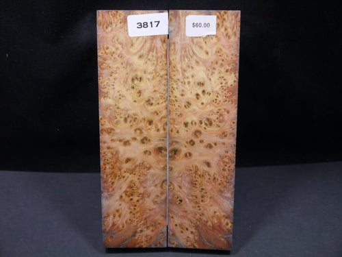 Stabilized Dyed Yellow Cedar Burl Scales SW3817