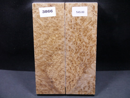 Stabilized Black Ash Burl Scales SW3866